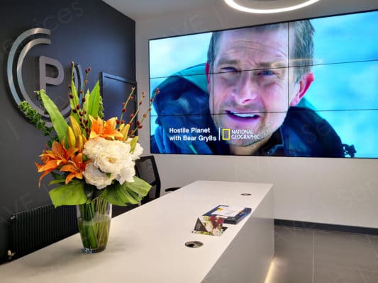 Reception area featuring a large video wall displaying National Geographic content, with floral arrangement on the desk.