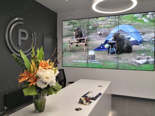Reception area featuring a large video wall displaying nature footage, floral arrangement on a white desk, branded wall logo.
